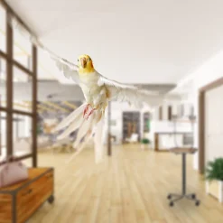 Relaxdays Freisitz Für Papageien -Garten- & Gewächshäuser Geschäft 7ae860144edca2bf5ff14dfb63c6bd16