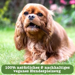 Cozy Casa Olivenholz-Kaustab Für Hunde | Holz Hundespielzeug Kauwurzel Kauknochen Vegan - L -Garten- & Gewächshäuser Geschäft 7b19bd6a14d0f656b9178718507d4fb7