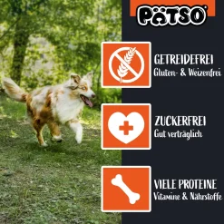 PÄTSO Hunde Snack Trainingssnack, 500g - Huhn - Bone Mix -Garten- & Gewächshäuser Geschäft 7b5b8d3d585e0d33ced862e2d02ea269