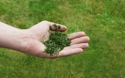 Einhell Benzin-Rasenmäher GC-PM 51/3 S HW -Garten- & Gewächshäuser Geschäft 7ce734cbbe6dee1c50e178cb275877eb