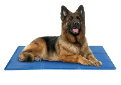 P & E Textil GmbH Kühlmatte Für Hunde Katzen Kühldecke Kältematte Kühlende Gelmatte Haustiere XL