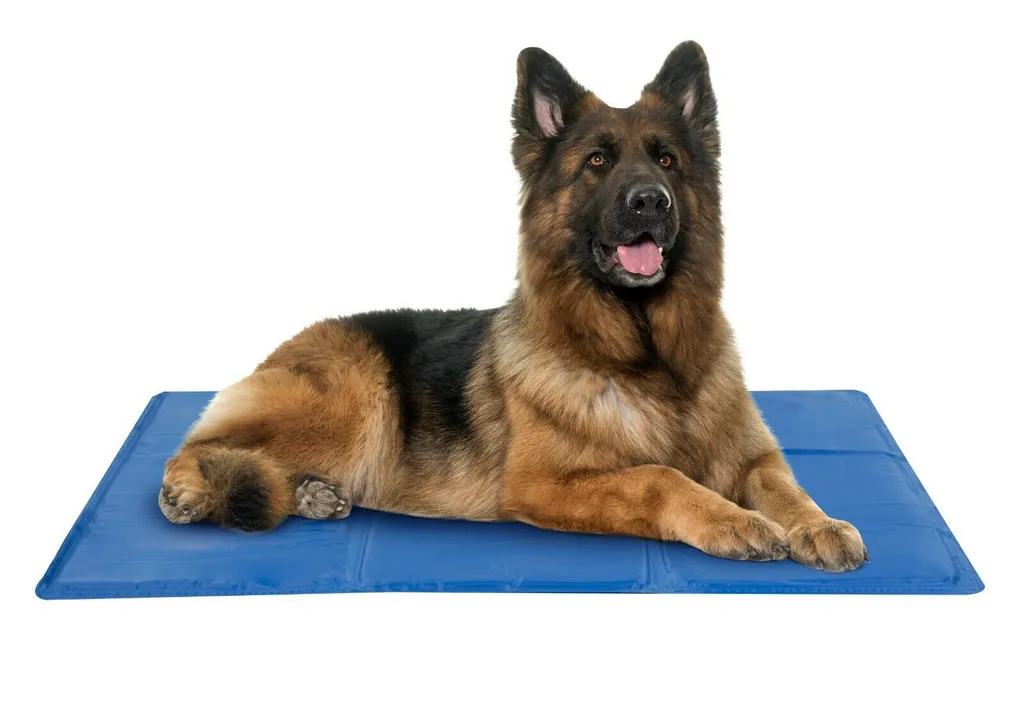 P & E Textil GmbH Kühlmatte Für Hunde Katzen Kühldecke Kältematte Kühlende Gelmatte Haustiere XL 1 P & E Textil GmbH Kühlmatte Für Hunde Katzen Kühldecke Kältematte Kühlende Gelmatte Haustiere XL