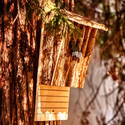 Blumfeldt Fledermaushotel Nisthöhle Fledermauskasten , 18 X 37 X 15 Cm (BxHxT) , Aus Naturbelassenem Tannenholz , Rustikal , Vormontiert , Längliche, 2 Cm Breite Einflugöffnung , Raubtiersicher , Ganzjährig Bewohnbar -Garten- & Gewächshäuser Geschäft 7d0b54b24201946f4f682daa21a3bee8