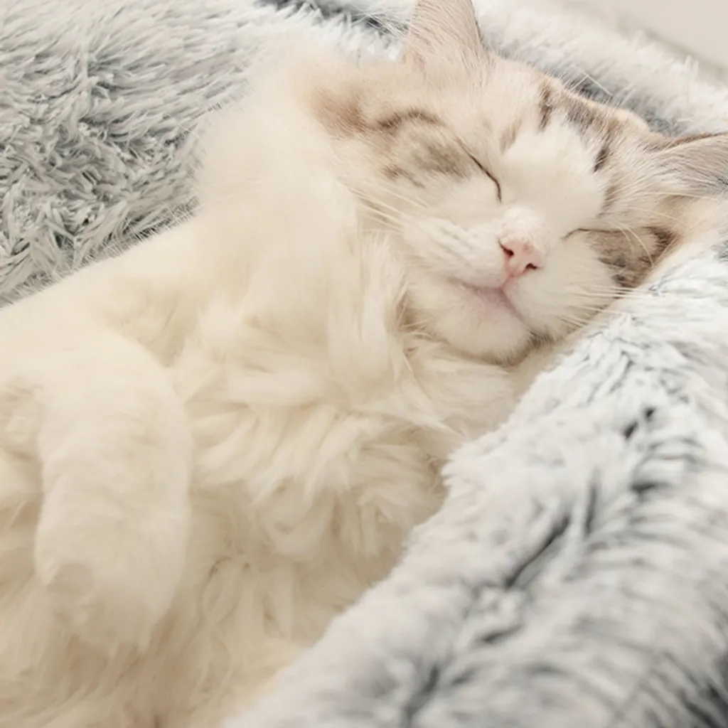 Jefety Hundebett Katzenbett Flauschige Langer Plüsch Warmer Schlafsack Rundes Haustierbett Rosa M 6 Jefety Hundebett Katzenbett Flauschige Langer Plüsch Warmer Schlafsack Rundes Haustierbett Rosa M – Bild 6