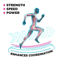 Leonardo Evilseed Funktionelles Training Klappbares Magnetisches Gebogenes Fitness LaufbandHöhe (cm): 112, Breite (cm): 68, Tiefe (cm): 121, Zusammensetzung: PP, Modelle: EVILSEED, Färbung: Black -Garten- & Gewächshäuser Geschäft 81b372eab3149173193dcff3b927173d