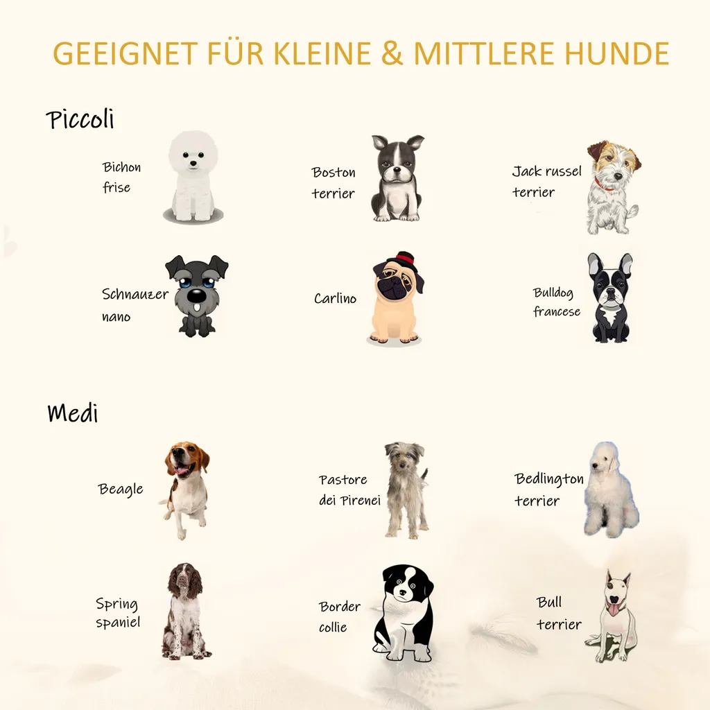 PawHut Haustiersofa Katzensofa Hundematte Hundecouch Hundebett Mit Kissen Indoor Modernes Sofa Für Kleine Hunde Weich Gepolstert Waschbarer Bezug Kiefernholz Grau 81 X 56 X 23,5 Cm 6 PawHut Haustiersofa Katzensofa Hundematte Hundecouch Hundebett Mit Kissen Indoor Modernes Sofa Für Kleine Hunde Weich Gepolstert Waschbarer Bezug Kiefernholz Grau 81 X 56 X 23,5 Cm – Bild 6