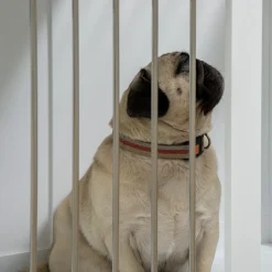 PawHut Hundekäfig, Hundehütte Mit Tischplatte, Haustierkäfig Für Mittelgroße Hunde, Hundebox Mit Türen, Hundehaus, Beistelltisch, Transportkäfig, Weiß, 80 X 50 X 56,5 Cm 16 PawHut Hundekäfig, Hundehütte Mit Tischplatte, Haustierkäfig Für Mittelgroße Hunde, Hundebox Mit Türen, Hundehaus, Beistelltisch, Transportkäfig, Weiß, 80 X 50 X 56,5 Cm -Garten- & Gewächshäuser Geschäft 85ae025a4d1a97eb6f23f523c8e17481