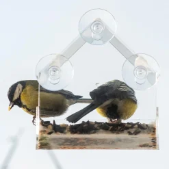 ProGarden Vogelhäuschen Futterhäuschen Futterstation Transparent Mit Saugnäpfen Für Fensterscheiben 15x15x6 Cm 13 ProGarden Vogelhäuschen Futterhäuschen Futterstation Transparent Mit Saugnäpfen Für Fensterscheiben 15x15x6 Cm -Garten- & Gewächshäuser Geschäft 87d9fbbf219711a18647b9e2eb398dfa