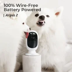 Reolink 1080p Kabellose WLAN IP Akku Überwachungskamera, Outdoor Mit PIR Bewegungsmelder, 2-Wege-Audio, 10m Sternenlicht-Nachtsicht, 2,4GHz WiFi, SD-Kartenslot, Argus 2 Mit Solarpanel 44 Reolink 1080p Kabellose WLAN IP Akku Überwachungskamera, Outdoor Mit PIR Bewegungsmelder, 2-Wege-Audio, 10m Sternenlicht-Nachtsicht, 2,4GHz WiFi, SD-Kartenslot, Argus 2 Mit Solarpanel -Garten- & Gewächshäuser Geschäft 87fa3eb984d858e882e4ded843ad12e2