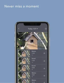 Nooie Überwachungskamera Aussen WLAN Kamera 1080P Outdoor IP66 Wasserdichte Mit PIR Bewegungserkennung Infrarot Nachtsicht Zwei-Wege-Audio Kompatibel Mit Alexa, Aktivitätsalarm -Garten- & Gewächshäuser Geschäft 88712f7dc99f3ad6a8490a1cfb2a7678