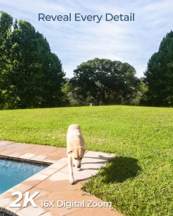 Reolink Kabellose Solar-/Akku WLAN IP-Überwachungskamera Outdoor Mit PIR-Bewegungsmelder, IR-Nachtsicht, 2-Wege-Audio, 1080P Argus Eco + 4MP Argus 3 Pro Mit Solarpanel--Bündel 43 Reolink Kabellose Solar-/Akku WLAN IP-Überwachungskamera Outdoor Mit PIR-Bewegungsmelder, IR-Nachtsicht, 2-Wege-Audio, 1080P Argus Eco + 4MP Argus 3 Pro Mit Solarpanel--Bündel -Garten- & Gewächshäuser Geschäft 89043b26f150c36f5bfb8b9448e1af24