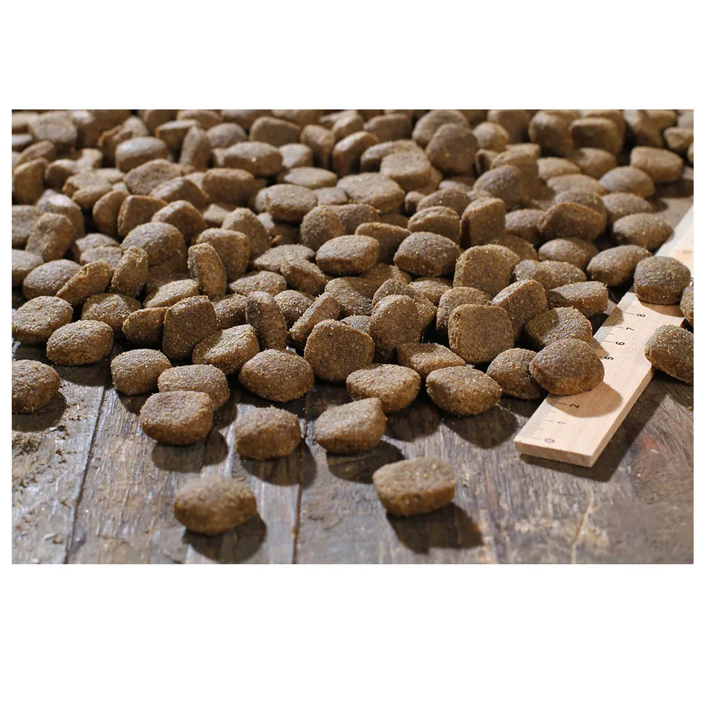 2 X 25 Kg Bewi Dog H-Energy 2 2 X 25 Kg Bewi Dog H-Energy – Bild 2