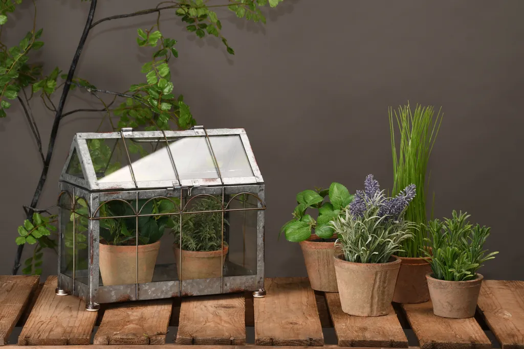 Esschert Design Gewächshaus M. Verschließbarem Deckel, Pflanzenhaus Größe S, 29,3 X 15,4 X 26,4 Cm, Eisen/Glas Mit Tragegrifff, Stabile Standfüße 2 Esschert Design Gewächshaus M. Verschließbarem Deckel, Pflanzenhaus Größe S, 29,3 X 15,4 X 26,4 Cm, Eisen/Glas Mit Tragegrifff, Stabile Standfüße – Bild 2
