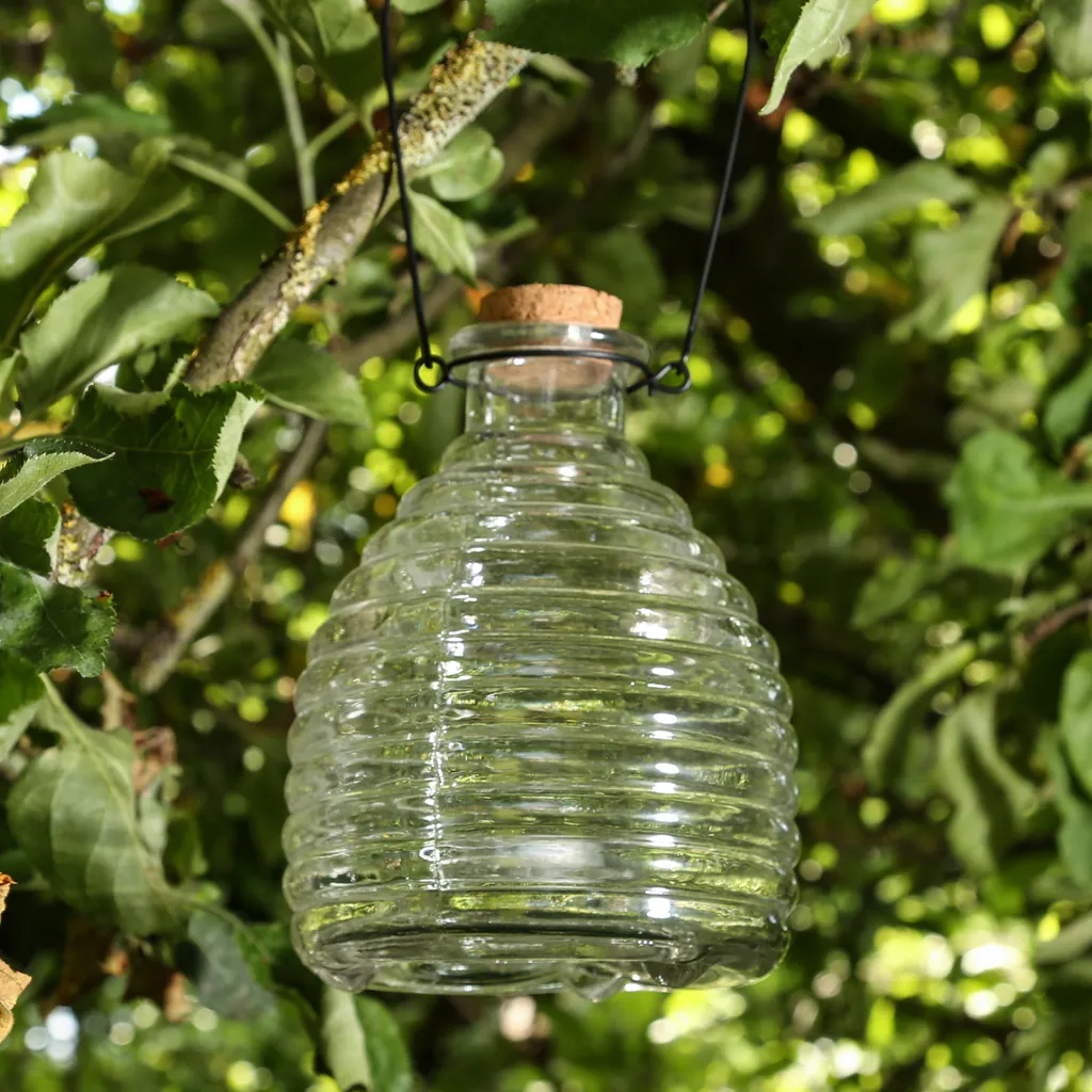 GORANDO Wespenfänger HONIGTOPF - Wespenfalle - Glas - Geriffelt - D: 13cm - H: 17cm - Outdoor 4 GORANDO Wespenfänger HONIGTOPF - Wespenfalle - Glas - Geriffelt - D: 13cm - H: 17cm - Outdoor – Bild 4