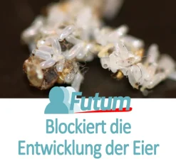 Futum 5L+2L Sprüher Ameisenmittel Spray Gift Gegen Ameisen Abwehren Bekämpfung -Garten- & Gewächshäuser Geschäft 928c480a624290deeb9af3072d8e5a1d