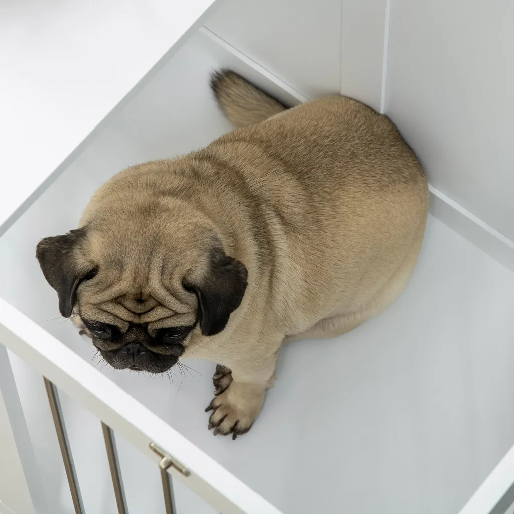 PawHut Hundekäfig, Hundehütte Mit Tischplatte, Haustierkäfig Für Mittelgroße Hunde, Hundebox Mit Türen, Hundehaus, Beistelltisch, Transportkäfig, Weiß, 80 X 50 X 56,5 Cm 9 PawHut Hundekäfig, Hundehütte Mit Tischplatte, Haustierkäfig Für Mittelgroße Hunde, Hundebox Mit Türen, Hundehaus, Beistelltisch, Transportkäfig, Weiß, 80 X 50 X 56,5 Cm – Bild 9