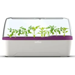 Romberg Bo Qube L Plus Gewächshaus Weiss/Pflaume 41x17x23 Cm 10 Romberg Bo Qube L Plus Gewächshaus Weiss/Pflaume 41x17x23 Cm -Garten- & Gewächshäuser Geschäft 99c4009ac8ae621b9d5ac2607a21ca3d