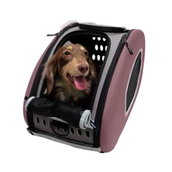 Innopet Hundetrolley, Hunderucksack, Hundetasche Modell '4 In 1' ... Bis 5kg Braun - Ibiyaya 10 Innopet Hundetrolley, Hunderucksack, Hundetasche Modell '4 In 1' ... Bis 5kg Braun - Ibiyaya -Garten- & Gewächshäuser Geschäft 9a7ee7fb830a264dcb4ae1795c6e4f0d