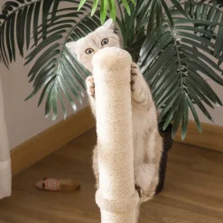 PawHut Kratzstamm Für Katzen Kratzsäule Aus Sisal Stabiler Kratzbaum Kratz Spielzeug Katze Mit Ball 60 Cm Spanplatte Sisal Beige+Eiche 34 X 34 X 60 Cm 9 PawHut Kratzstamm Für Katzen Kratzsäule Aus Sisal Stabiler Kratzbaum Kratz Spielzeug Katze Mit Ball 60 Cm Spanplatte Sisal Beige+Eiche 34 X 34 X 60 Cm -Garten- & Gewächshäuser Geschäft 9b624c15bb71ef45b98016c6c61d41d9