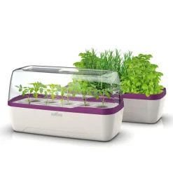 Romberg Bo Qube L Plus Gewächshaus Weiss/Pflaume 41x17x23 Cm