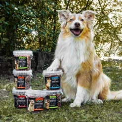PÄTSO Hunde Snack Trainingssnack, 500g - Huhn - Bone Mix -Garten- & Gewächshäuser Geschäft 9f53ff1e710586232b4de1d30c85ed80