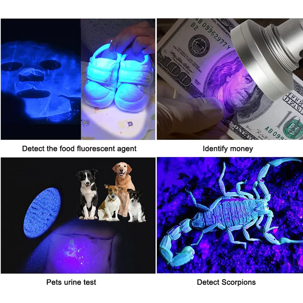 Jormftte 100 LEDs UV Silbergraulicht Taschenlampe Mit UV-Schutzbrille,Ultraviolett Handlampe Heimtierurindetektoren,für Eingetrocknete Urin- Flecken Der Hunde,Katzen Und Nagetiere 5 Jormftte 100 LEDs UV Silbergraulicht Taschenlampe Mit UV-Schutzbrille,Ultraviolett Handlampe Heimtierurindetektoren,für Eingetrocknete Urin- Flecken Der Hunde,Katzen Und Nagetiere – Bild 5