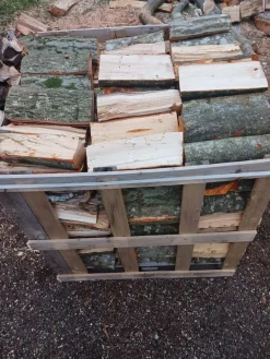 Perfect Home Brennholz-Paletten Erlenholz 7 Perfect Home Brennholz-Paletten Erlenholz -Garten- & Gewächshäuser Geschäft a1583b2919f98370fd3dd9751f80ea1c