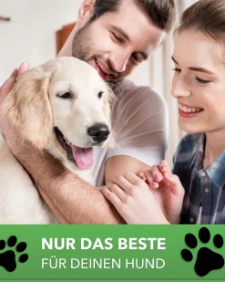 DILUMA Orthopädisches Haustierkissen Benji M 79 X 60 X 8 Cm – Optimaler Liegekomfort Für Ihr Haustier – Viscoelastische Hundematratze Mit Abnehmbaren Bezug Und Antirutschbeschichtung 26 DILUMA Orthopädisches Haustierkissen Benji M 79 X 60 X 8 Cm – Optimaler Liegekomfort Für Ihr Haustier – Viscoelastische Hundematratze Mit Abnehmbaren Bezug Und Antirutschbeschichtung -Garten- & Gewächshäuser Geschäft a1611ba771a1e1ec024cc74751b62066