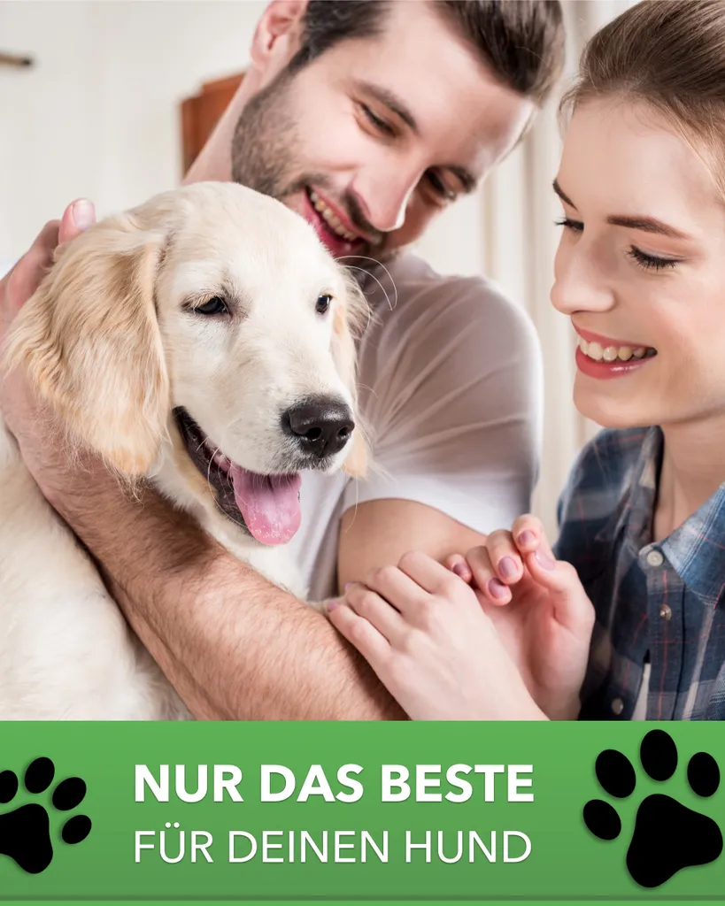 DILUMA Orthopädisches Haustierkissen Benji M 79 X 60 X 8 Cm – Optimaler Liegekomfort Für Ihr Haustier – Viscoelastische Hundematratze Mit Abnehmbaren Bezug Und Antirutschbeschichtung 8 DILUMA Orthopädisches Haustierkissen Benji M 79 X 60 X 8 Cm – Optimaler Liegekomfort Für Ihr Haustier – Viscoelastische Hundematratze Mit Abnehmbaren Bezug Und Antirutschbeschichtung – Bild 8