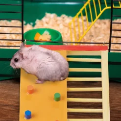 Relaxdays Hamster Zubehör Aus Holz -Garten- & Gewächshäuser Geschäft a2feef5c00a05f7996f3ff0ad571aa45