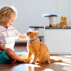 Relaxdays Katzenschrank Mit Sitzauflage -Garten- & Gewächshäuser Geschäft a439469d65620fb049fe58c5f5bb84a4