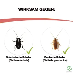 Pestmatic Smart Spray Gegen Schaben Und Kakerlaken 500 Ml, Insektizid In Sprayflasche Für Laufende Insekten, Gebrauchsfertig, Einfache Anwendung Langanhaltender Schutz Schnelle Wirkung -Garten- & Gewächshäuser Geschäft a5da10c308f27f98604101ae2992c0d8