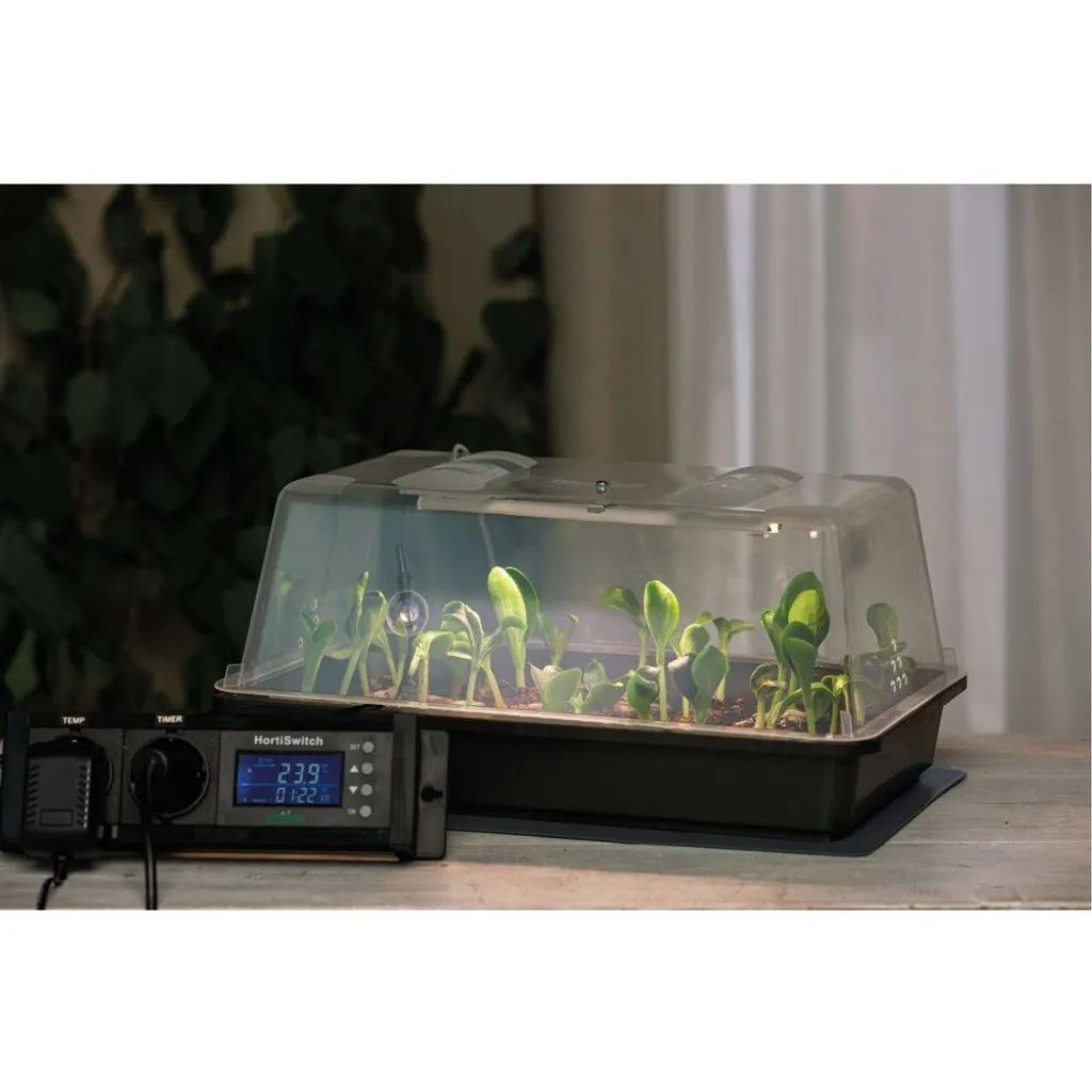 Romberg Climatic M LED Gewächshaus 38 X 24 X 19 Cm + Heizmatte 3 Romberg Climatic M LED Gewächshaus 38 X 24 X 19 Cm + Heizmatte – Bild 3