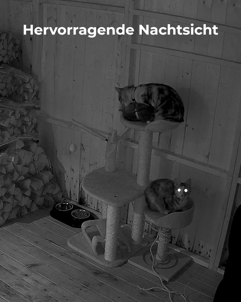 Reolink 4MP PT Indoor Überwachungskamera Innen, 355° Schwenk- / 50° Neigung, Automatische Verfolgung, 2,4Ghz Und 5Ghz WLAN IP Kamera, 2-Wege-Audio, Home Und Baby Monitor Mit Bewegungserkennung, Personen Und Haustiere Erkennen, E1 Pro 6 Reolink 4MP PT Indoor Überwachungskamera Innen, 355° Schwenk- / 50° Neigung, Automatische Verfolgung, 2,4Ghz Und 5Ghz WLAN IP Kamera, 2-Wege-Audio, Home Und Baby Monitor Mit Bewegungserkennung, Personen Und Haustiere Erkennen, E1 Pro – Bild 6