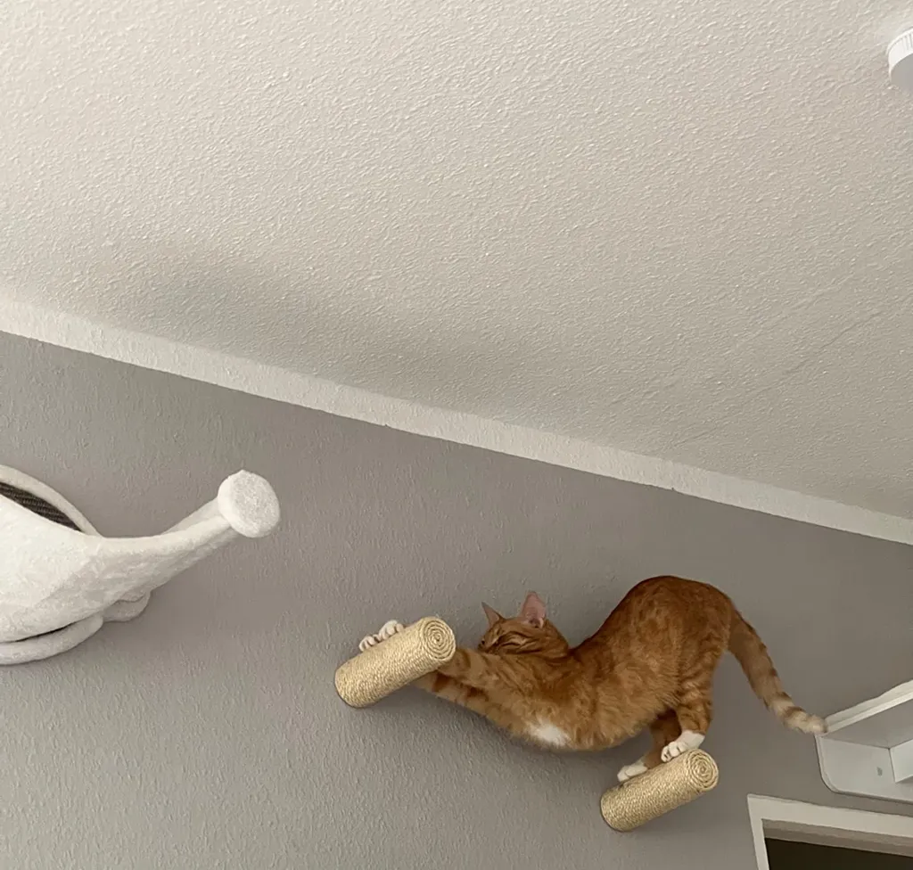 Capri Corner Wand Kletter Stufe Aus Sisal Für Katzen 2 Capri Corner Wand Kletter Stufe Aus Sisal Für Katzen – Bild 2