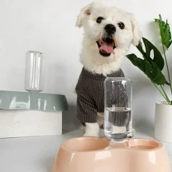 Qiangzhipow Fütterung Hundenäpfe Katzennapf Futterspender Wasserspender Futternapf Haustiere Hund Katze Futterstation Futterautomat Für Trockenfutter (Grau) 14 Qiangzhipow Fütterung Hundenäpfe Katzennapf Futterspender Wasserspender Futternapf Haustiere Hund Katze Futterstation Futterautomat Für Trockenfutter (Grau) -Garten- & Gewächshäuser Geschäft aa4f0b62cead501852a03db62608ee5b