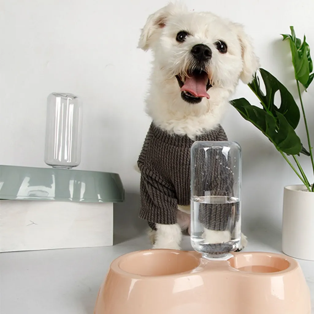 Qiangzhipow Fütterung Hundenäpfe Katzennapf Futterspender Wasserspender Futternapf Haustiere Hund Katze Futterstation Futterautomat Für Trockenfutter (Grau) 4 Qiangzhipow Fütterung Hundenäpfe Katzennapf Futterspender Wasserspender Futternapf Haustiere Hund Katze Futterstation Futterautomat Für Trockenfutter (Grau) – Bild 4