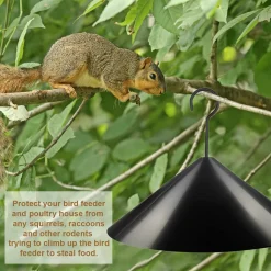 Jesunfuzhu 12 Zoll Eichhörnchen Schutz Schallwand Schwarz Für Vogelfutter Futterstation Futterhaus Sonstiges Kleintierzubehör -Garten- & Gewächshäuser Geschäft abd396e347b50e0c215a0e6ea5a3f5aa 1