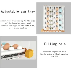 Topchances Brutmaschine Vollautomatisch Hühner Inkubator Hühner Brutautomat Bauernhof Brutkasten Hühner 16 Eier Inkubatoren -Garten- & Gewächshäuser Geschäft ac78158b13b8132756859d2e6bf8fa10