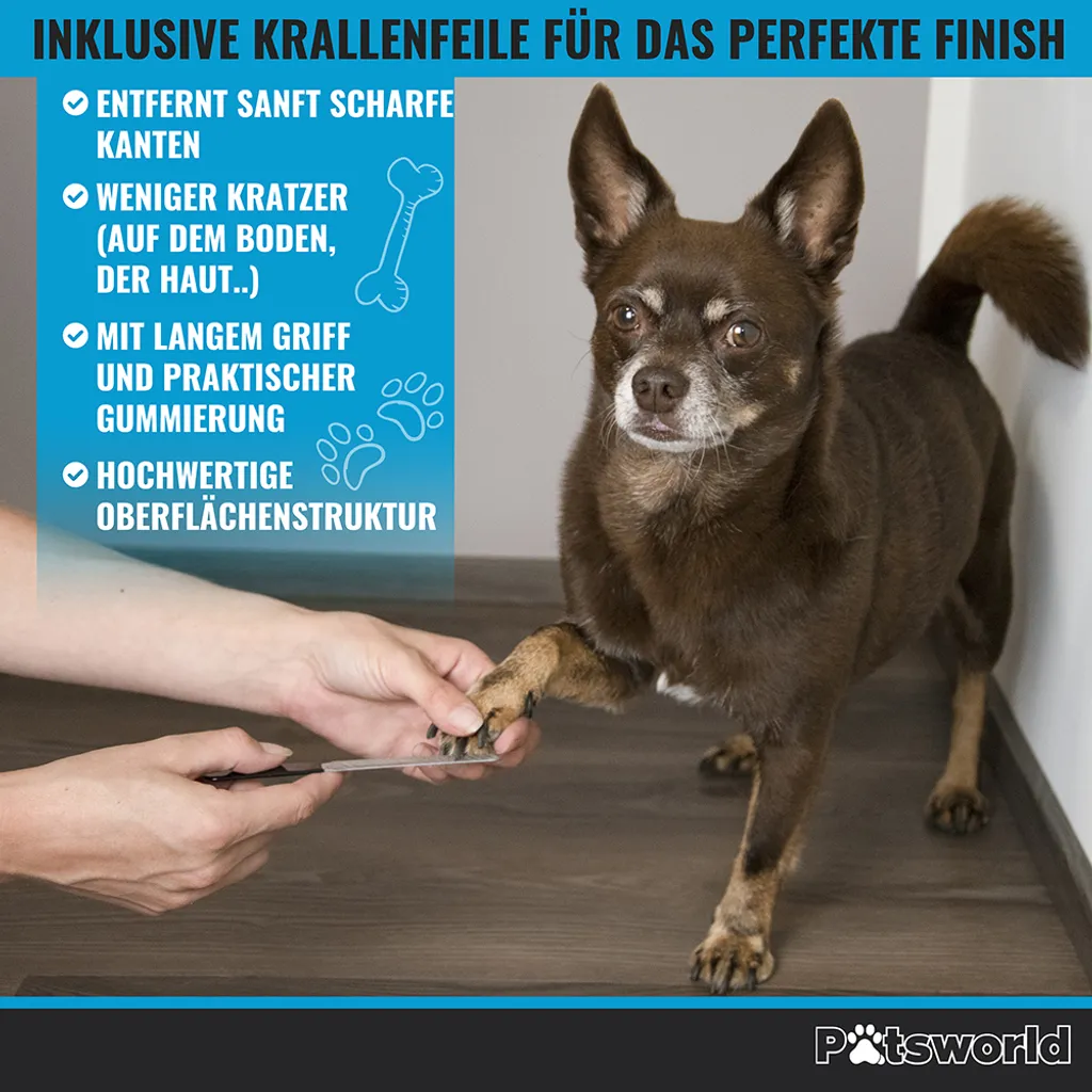 Pätsworld Profi Krallenschere Für Hunde & Katzen | Tiersalon Qualität | Krallenpflege | Für Zuhause - Klauen Pflege Sicher & Einfach Daheim Durch Einen Abstandshalter | Inkl. Nagelpfeile (S - Für Kleine Nager, Katzen, Hunde) 6 Pätsworld Profi Krallenschere Für Hunde & Katzen | Tiersalon Qualität | Krallenpflege | Für Zuhause - Klauen Pflege Sicher & Einfach Daheim Durch Einen Abstandshalter | Inkl. Nagelpfeile (S - Für Kleine Nager, Katzen, Hunde) – Bild 6
