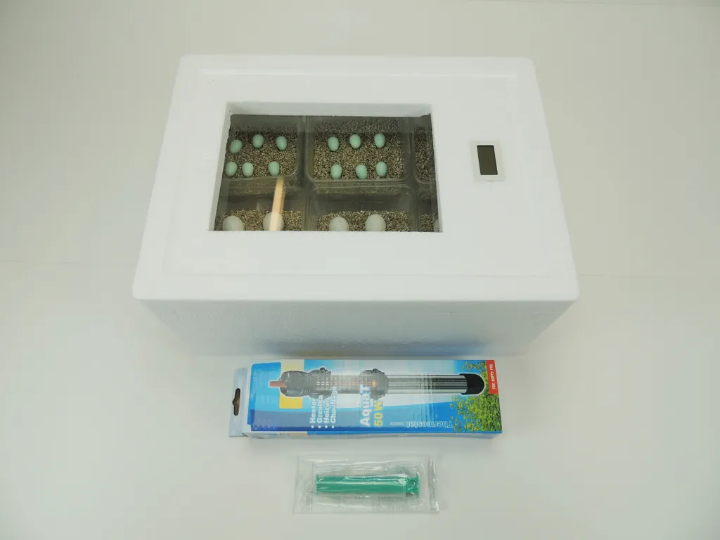 Campo24 ST2 Reptilien Inkubator Incubator Brutkasten Brutmaschine Brutapparat Brüter 1 Campo24 ST2 Reptilien Inkubator Incubator Brutkasten Brutmaschine Brutapparat Brüter