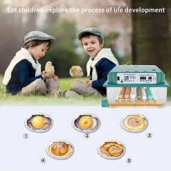 Topchances 36 Eier Brutmaschine Vollautomatisch, Brutapparat Eier Inkubator Mit LED Light Feuchtigkeits Temperaturanzeige Hatcher Maschine Für Hühnergans Ente Taube Wachtel Vogel -Garten- & Gewächshäuser Geschäft b1d714db5bff091987ac420a83806ce2
