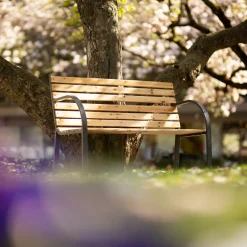 Tectake Gartenbank Micha 2-Sitzer Aus Holz 119,5x 62x83cm - Braun -Garten- & Gewächshäuser Geschäft b252c845baf99d0f237bef03070c622b