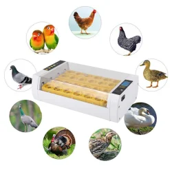 Topchances Inkubator Automatische Brutmaschine Vollautomatisch 24-Inkubator-Brutapparat Mit Automatischem Turner, Temperatur- Und Feuchtigkeitsregelung Für Huhn Enten Gänse Geflügel Taube Wachtel -Garten- & Gewächshäuser Geschäft b34baca620c3af789e0b050b78590453