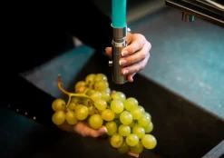 VIZIO 3 Wege Schwarz Küchenarmatur Edelstahl Massiv AISI 316 Für Filtersysteme Mit Separatem Filterwasser Kanal - Abnehmbarer 2 Strahliger Handbrause Für Leitungswasser - Gebürstet 10 VIZIO 3 Wege Schwarz Küchenarmatur Edelstahl Massiv AISI 316 Für Filtersysteme Mit Separatem Filterwasser Kanal - Abnehmbarer 2 Strahliger Handbrause Für Leitungswasser - Gebürstet -Garten- & Gewächshäuser Geschäft b39c29219b2473daf20a0c82a9995e72