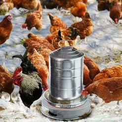 YisibaihTao Geflügel Warmwasserbereiter Basis, Elektrische Futterautomat Beheizte Basis, Verhindert Das Einfrieren Von Geflügelbrunnen, 30 Cm -Garten- & Gewächshäuser Geschäft b66022f01eb9cca38f4b62de7fc7b0bc