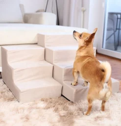 Amazinggirl Hundetreppe Für Kleine Hunde 30 Cm Hoch - Katzentreppe Velvet Hunderampe Sofa Haustiertreppe 3 Stufen Treppe Beige -Garten- & Gewächshäuser Geschäft b7cadee6a1ead5370c1a3f7325274020