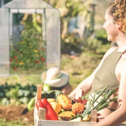 Relaxdays Gewächshaus Mit 2 Türen 12 Relaxdays Gewächshaus Mit 2 Türen -Garten- & Gewächshäuser Geschäft bba7da564fe59886e24d1d041bd5c300