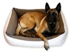 4L Textil OTTO Kuscheliges Hundebett Bezug Abnehmbar Und Waschbar Hundekorb Mittelgroße Hunde Hundekissen Flauschig Hundekörbchen Hundesofa (80x60 Cm, Boho 01) -Garten- & Gewächshäuser Geschäft bd4f1c3eaf51163c45644adbf5755bba