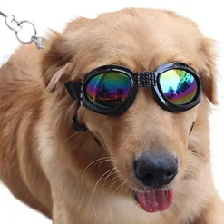 Jormftte Haustier-Hundeschutzbrillen UV-Sonnenbrille, Winddichter Schutz Hündchen-Welpen-Sonnenbrille, Hundebrille Für Großen Hund -Garten- & Gewächshäuser Geschäft be57026d7e65cb887f4d9c19efe6e953